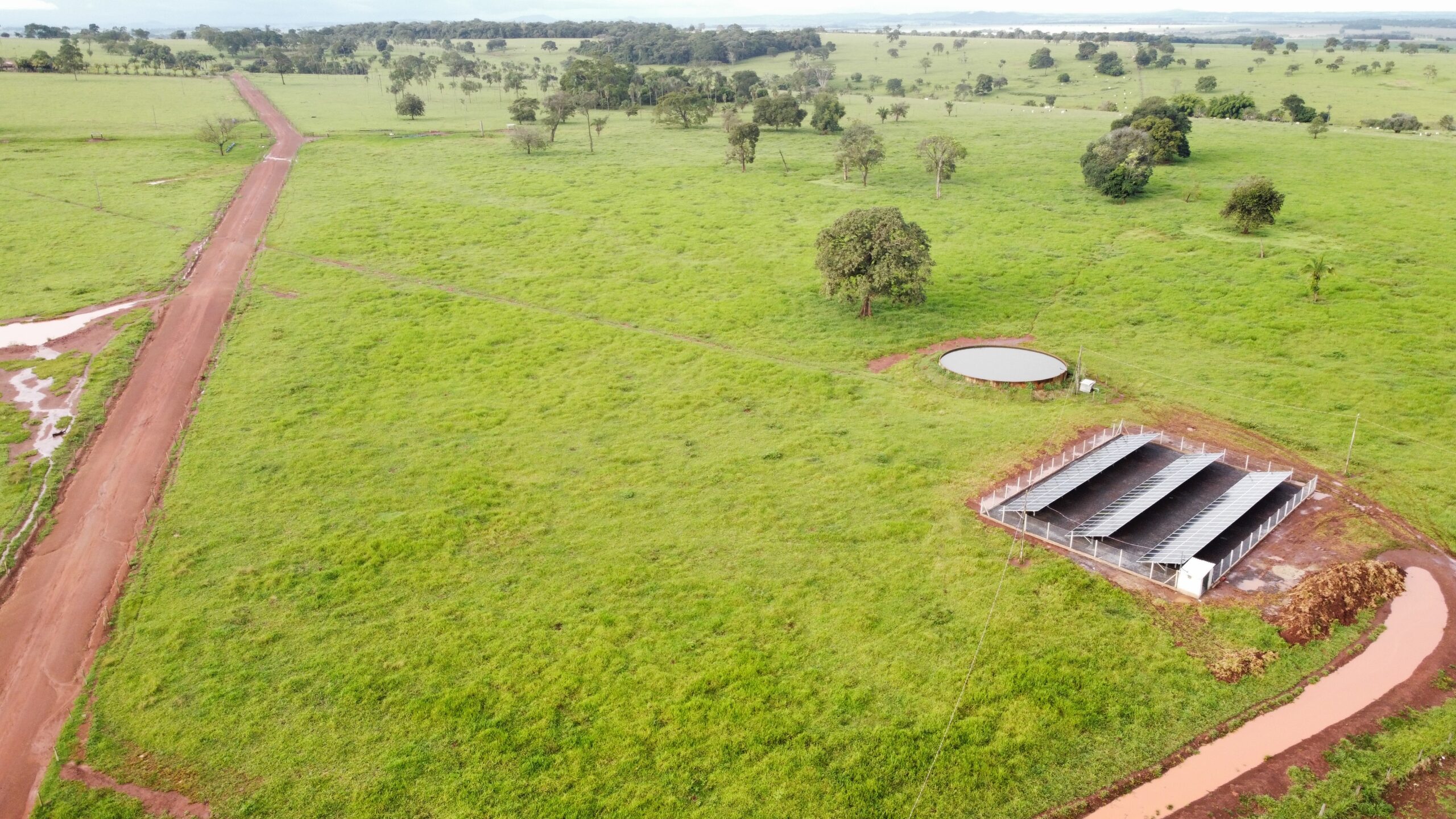 dji_fly_20230320_171936_911_1679343675292_photo_optimized