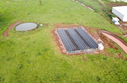 dji_fly_20230320_172022_915_1679343689123_photo_optimized